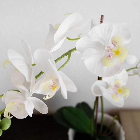 Lovely Home Paola Пуэрто Рико Экстерьер фото